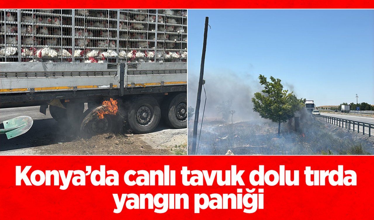 Konya’da canlı tavuk dolu tırda yangın paniği