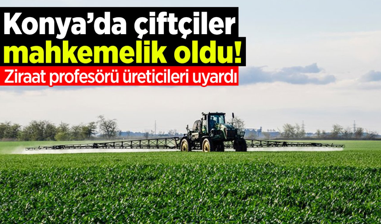Konya’da çiftçiler mahkemelik oldu! Ziraat profesörü üreticileri uyardı 