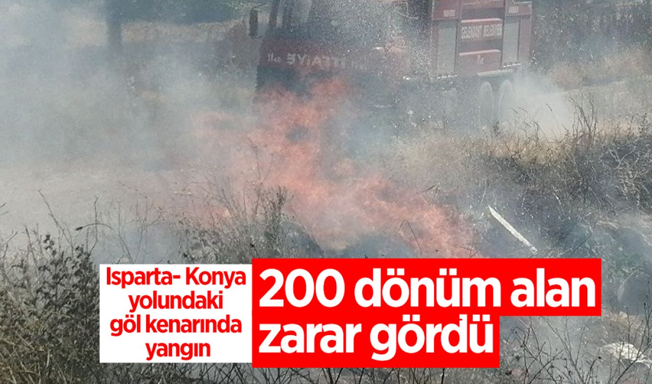 Isparta- Konya yolundaki göl kenarında yangın: 200 dönüm alan zarar gördü