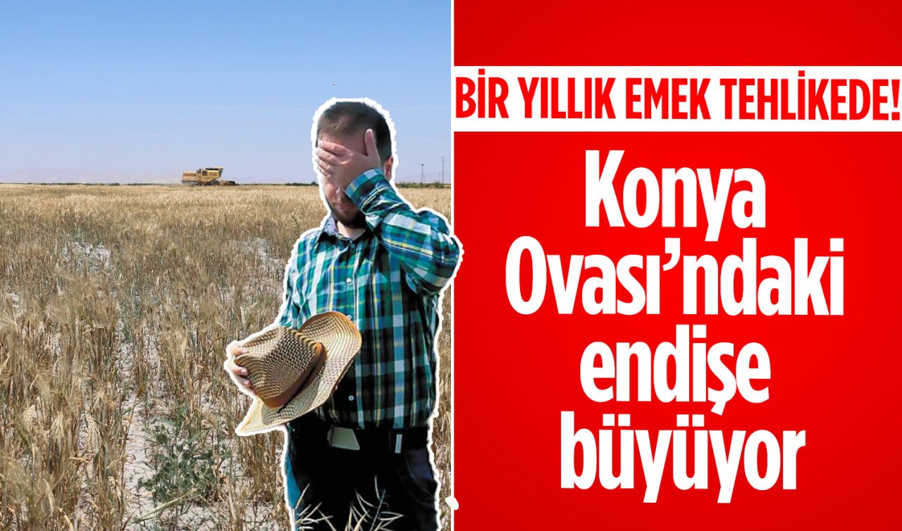 Konya’da yüzde 30 kadar düşüş! Daha ağır olabilir