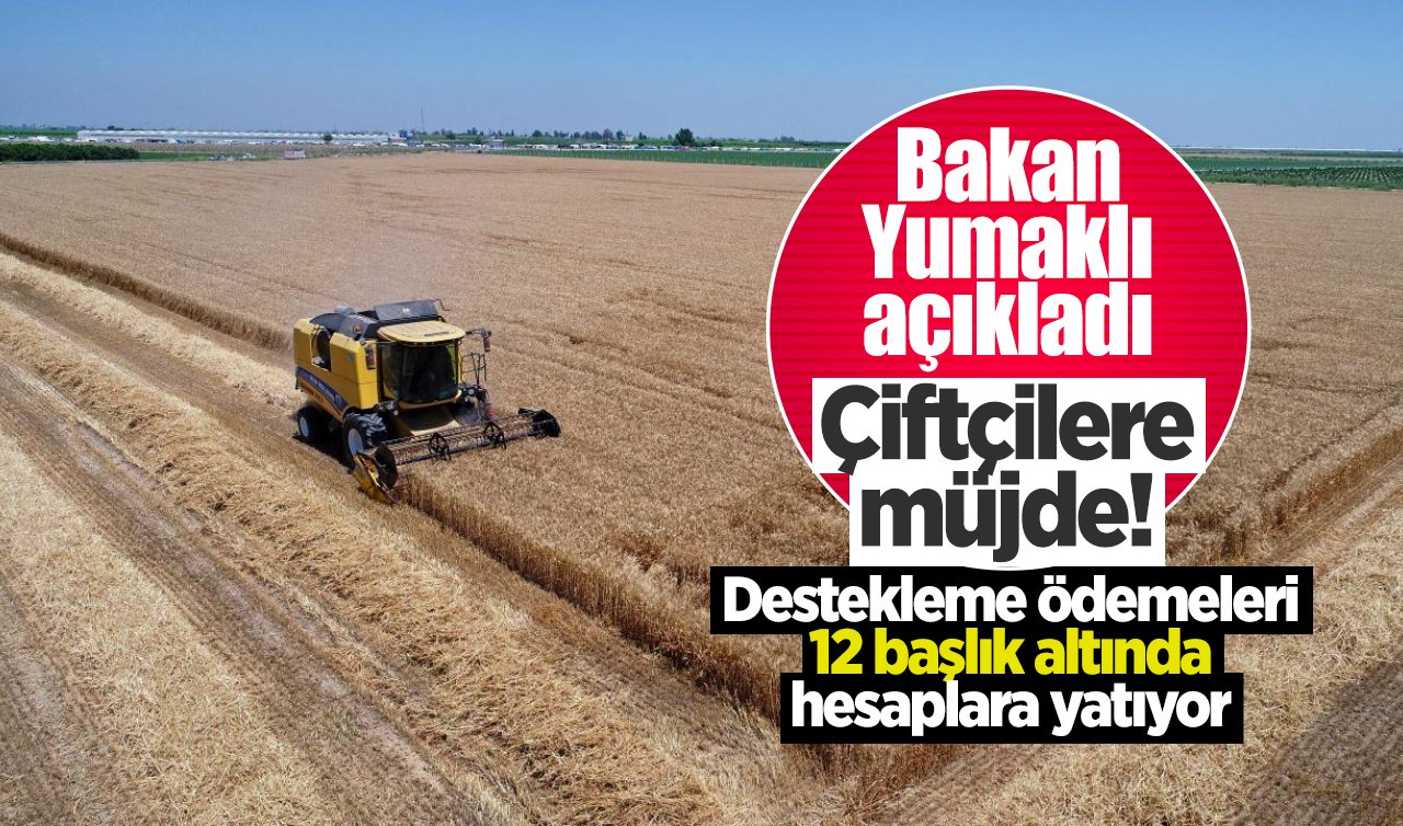 Bakan Yumaklı açıkladı | Çiftçilere müjde! Destekleme ödemeleri 12 başlık altında hesaplara yatıyor