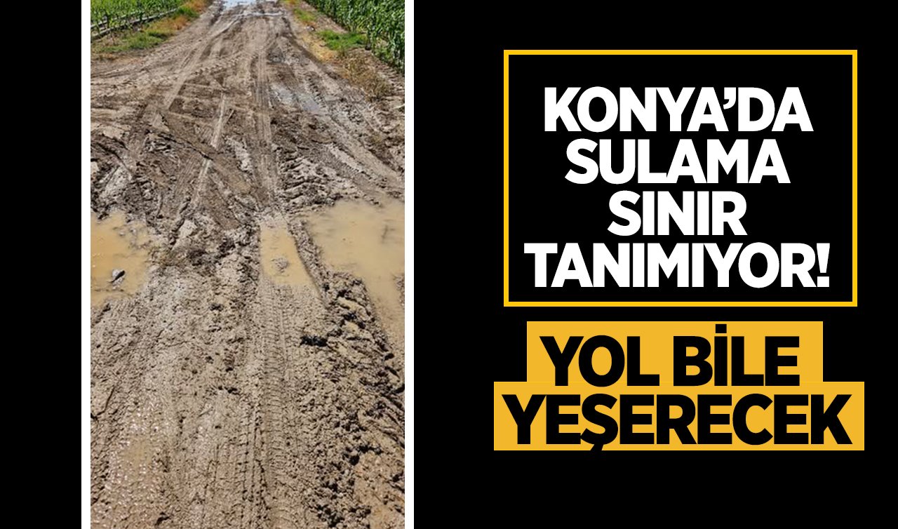 Konya’da sulama sınır tanımıyor Yol bile yeşerecek