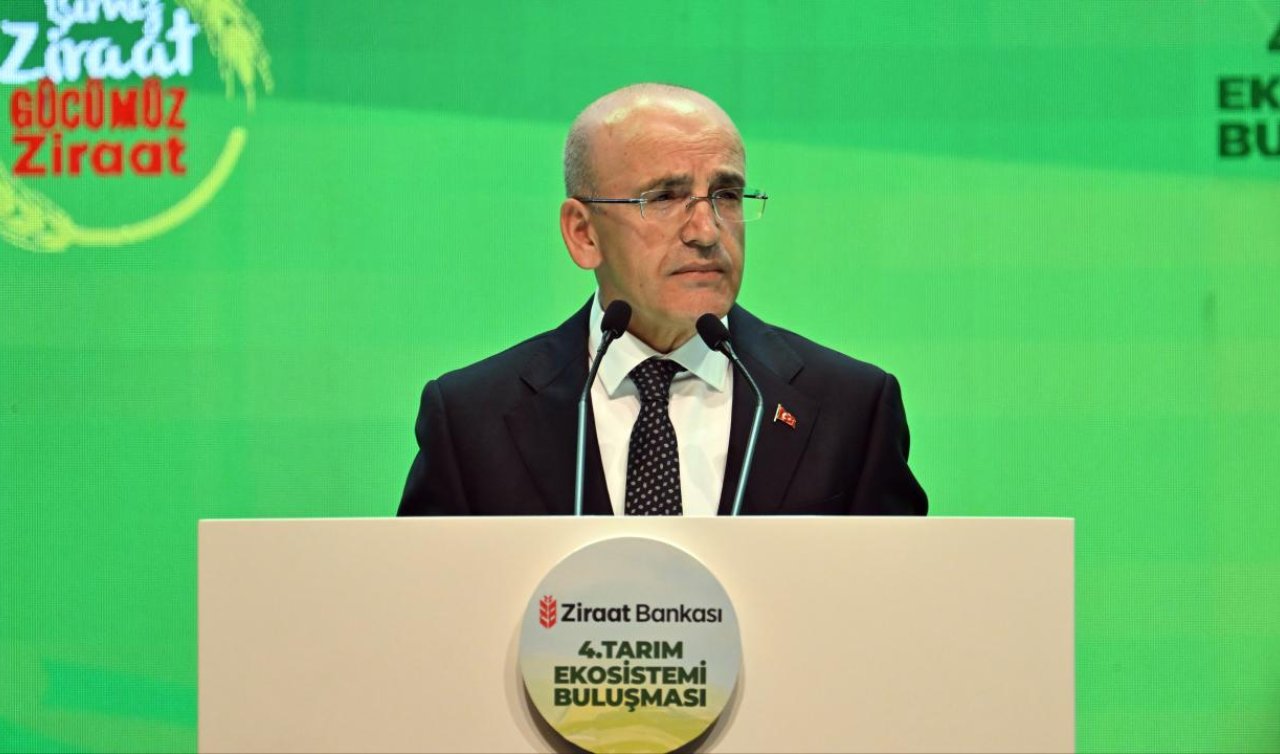 Bakan Şimşek: Evlerde kullanılan elektrik ve doğal gazı devlet sübvanse ediyor