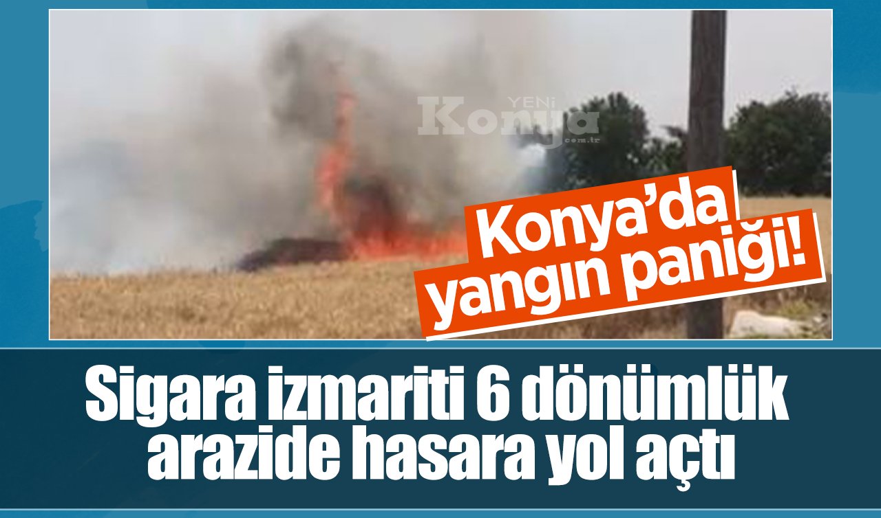 Konya’da yangın paniği! Sigara izmariti 6 dönümlük arazide hasara yol açtı