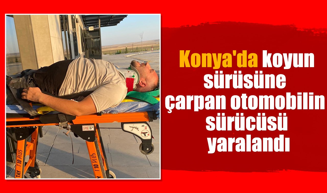 Konya’da koyun sürüsüne çarpan otomobilin sürücüsü yaralandı
