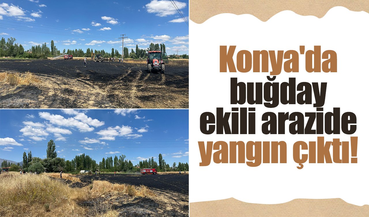 Konya’da buğday ekili arazide yangın çıktı!