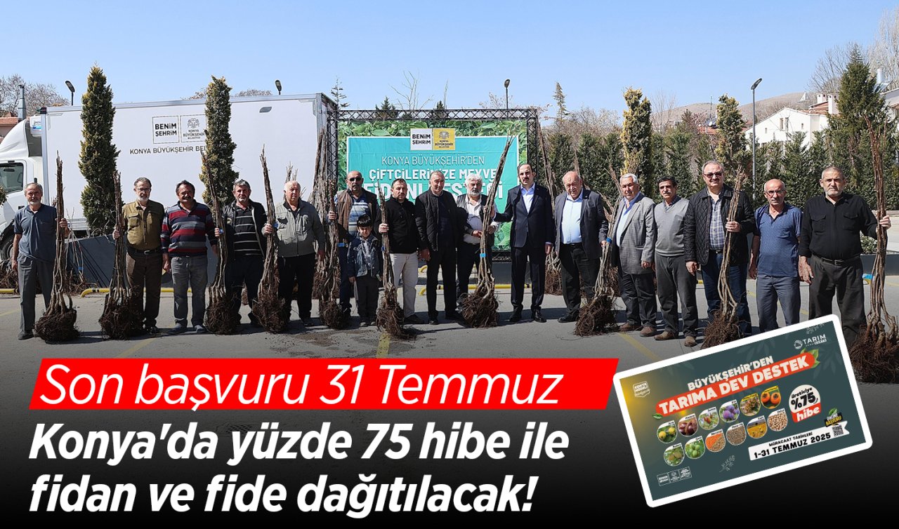 Konya’da yüzde 75 hibe ile fidan ve fide dağıtılacak! Son başvuru 31 Temmuz