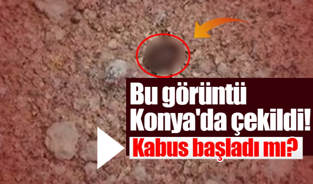 Bu görüntü Konya’da çekildi! Muhtar tesadüfen fark etti
