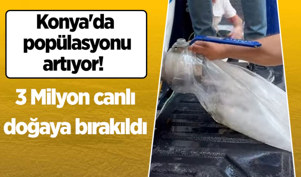 Konya’da popülasyonu artıyor! 3 Milyon canlı doğaya bırakıldı