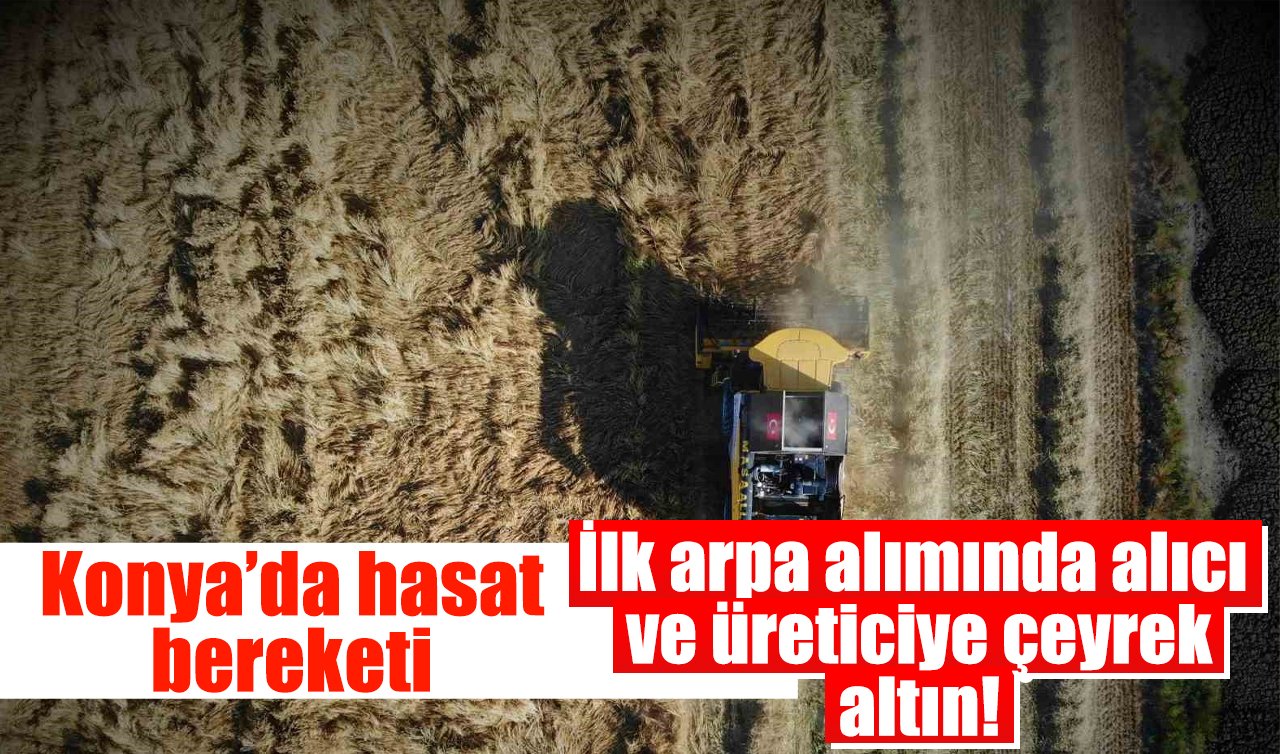  Konya’da hasat bereketi: İlk arpa alımında alıcı ve üreticiye çeyrek altın!