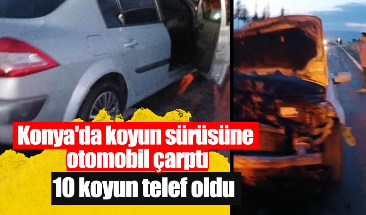 Konya’da koyun sürüsüne otomobil çarptı: 10 koyun telef oldu 