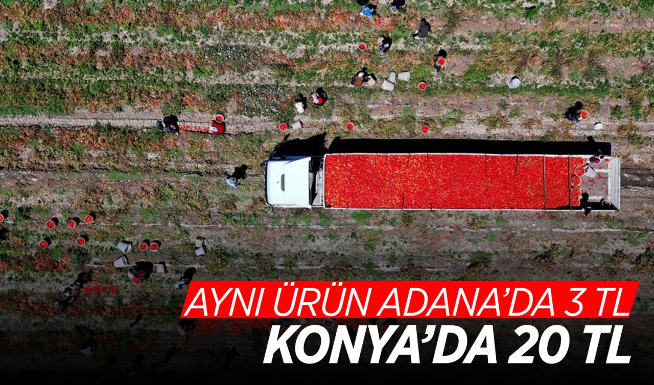 Komşu şehirde 3 liraya üretiliyor! Konya’da 20 TL’ye satılıyor