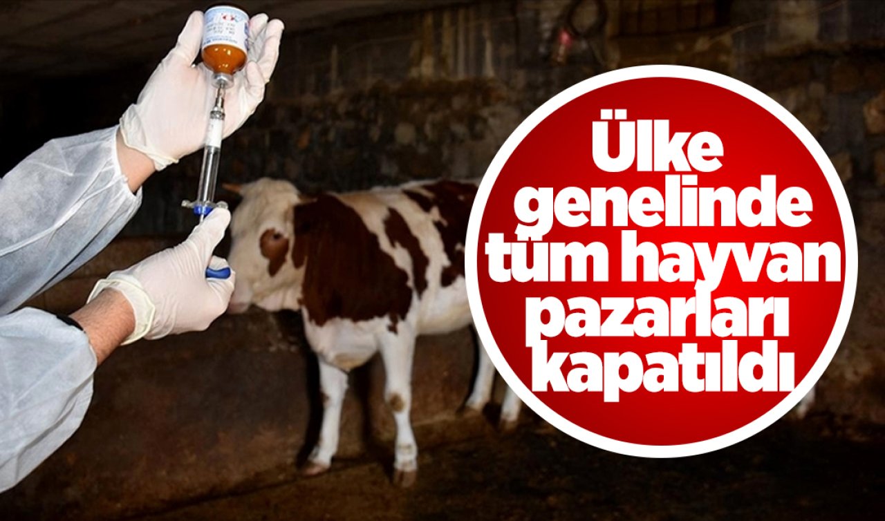Ülke genelinde tüm hayvan pazarları kapatıldı