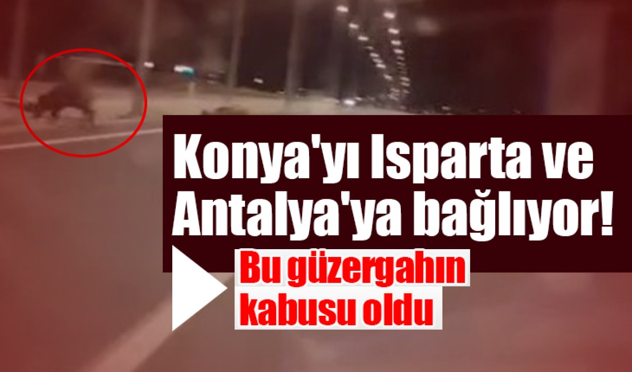 Konya’yı Isparta ve Antalya’ya bağlıyor! Bu güzergahın kabusu oldu