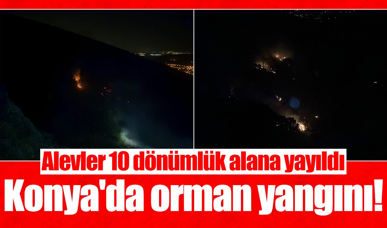 Konya’da orman yangını! Alevler 10 dönümlük alana yayıldı