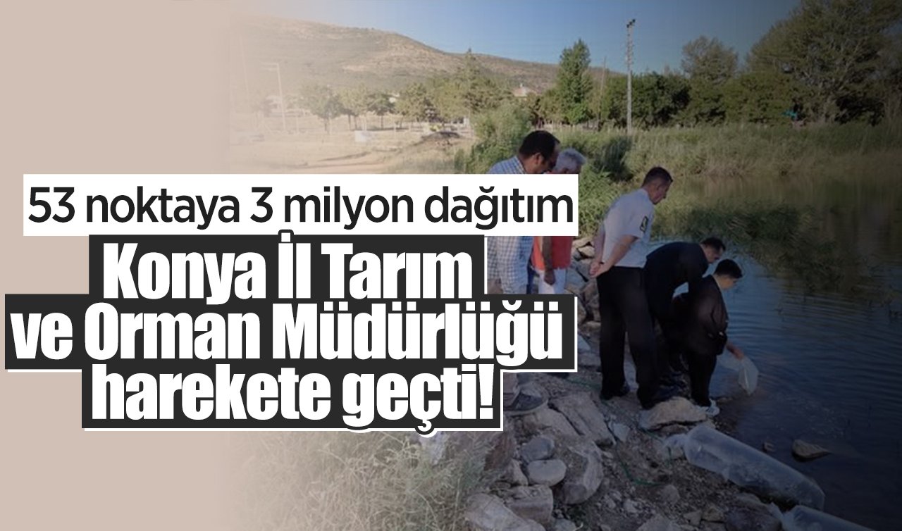 Konya İl Tarım ve Orman Müdürlüğü harekete geçti! 53 noktaya 3 milyon dağıtım 