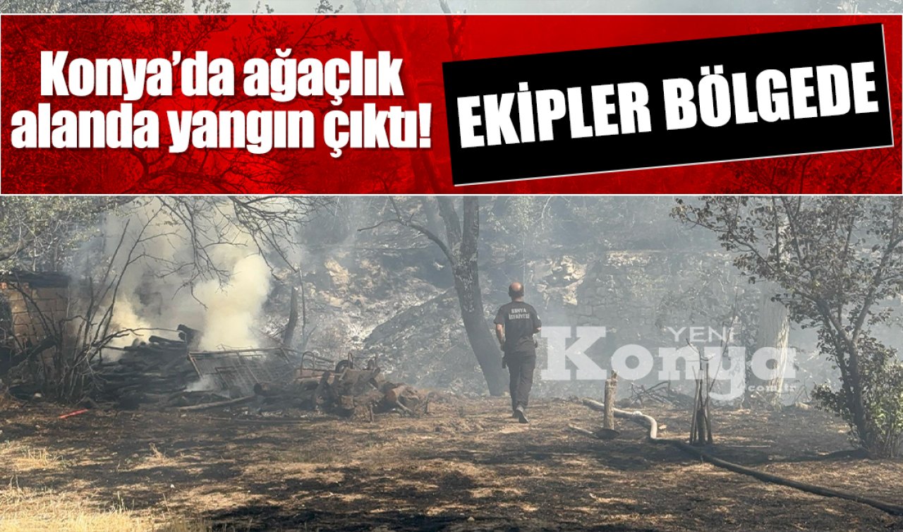 Konya’da ağaçlık alanda yangın çıktı! Ekipler bölgede