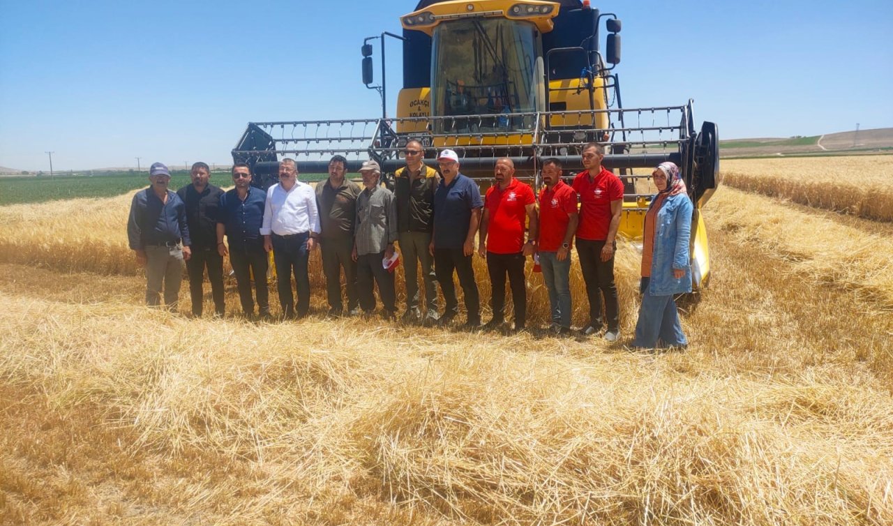 Konya’da hububat hasadı devam ediyor