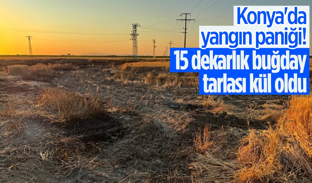 Konya’da yangın paniği 15 dekarlık buğday tarlası kül oldu