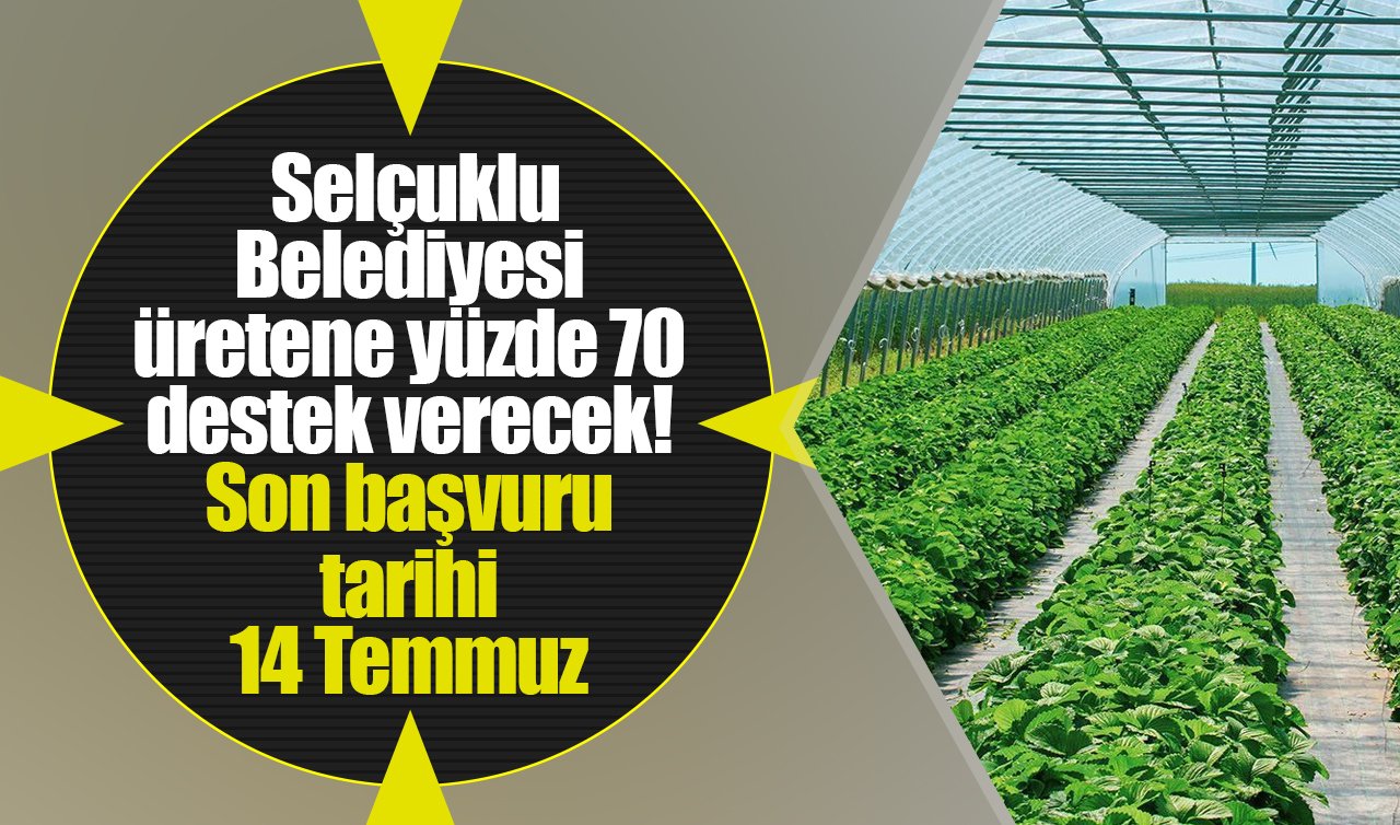Selçuklu Belediyesi üretene yüzde 70 destek verecek! Son başvuru tarihi 14 Temmuz