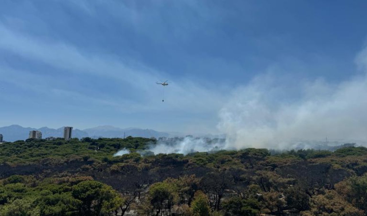 Antalya ve Çanakkale’deki yangınlar kontrol altına alındı