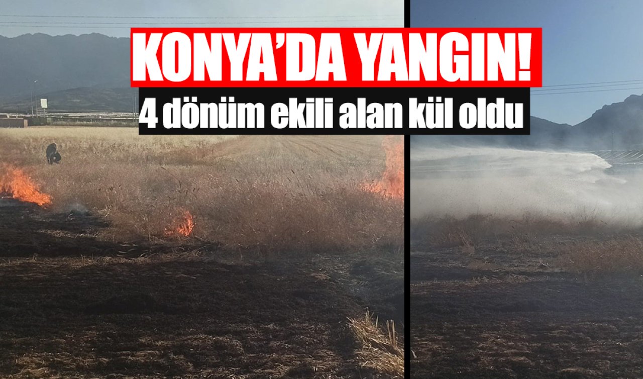 Konya’da yangın: 4 dönüm ekili alan kül oldu