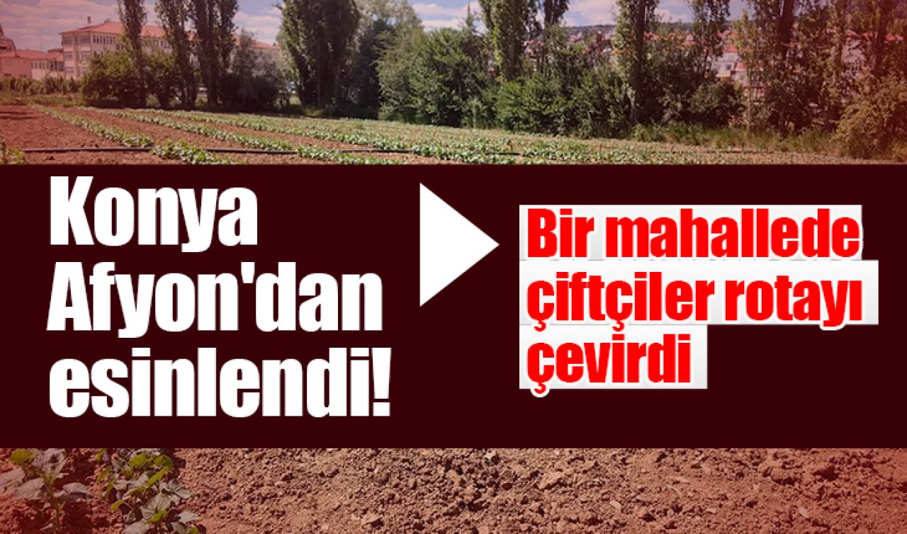 Konya Afyon’dan esinlendi! Bir mahallede çiftçiler rotayı çevirdi  