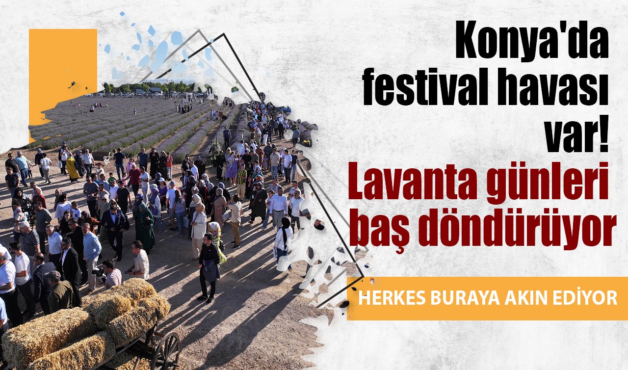 Konya’da festival havası var! Lavanta günleri baş döndürüyor