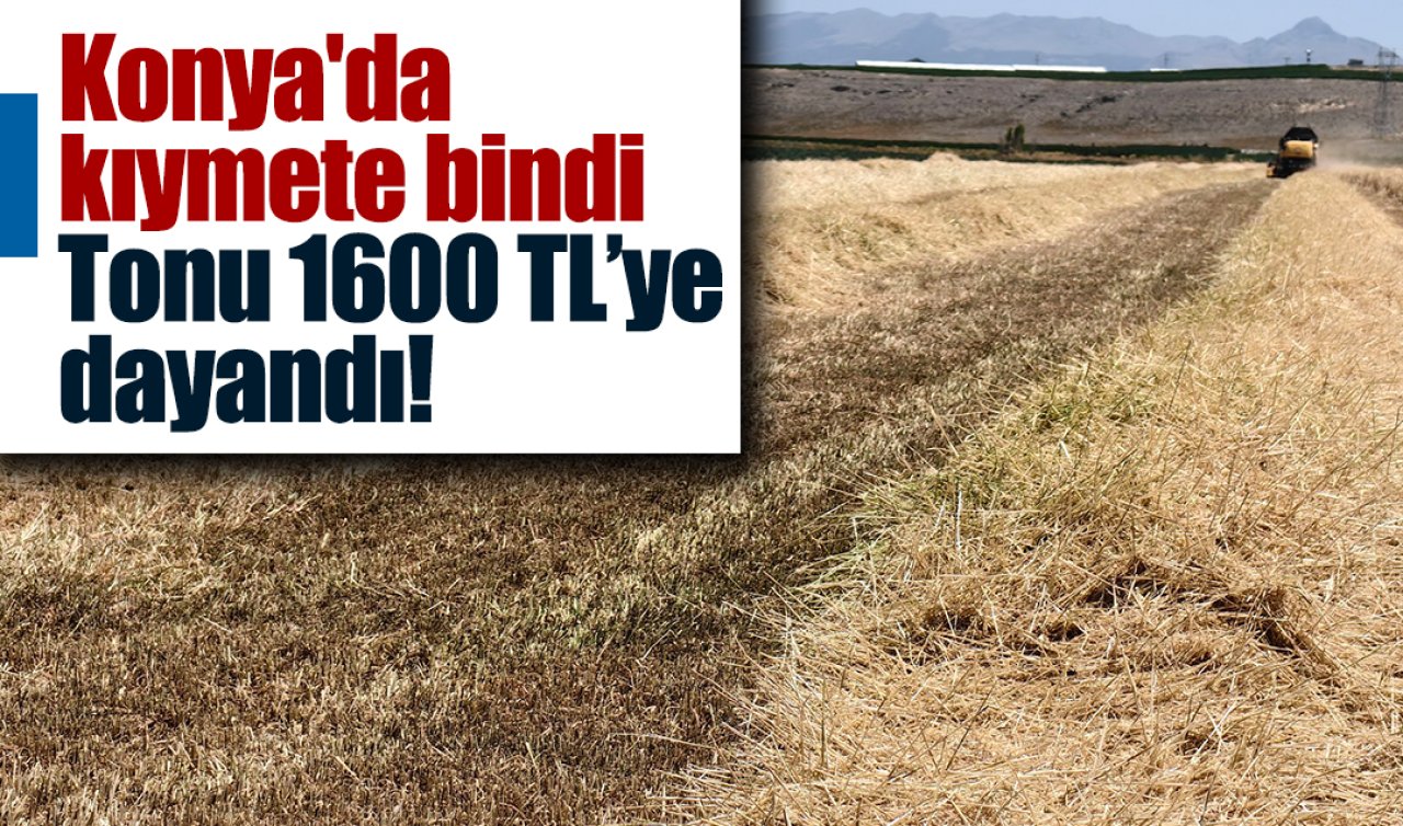 Konya’da kıymete bindi: Tonu 1600 TL’ye dayandı! 