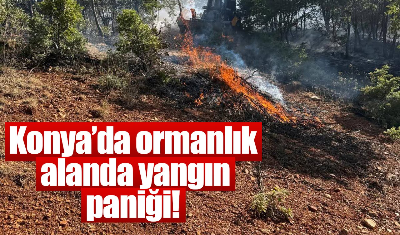 Konya’da ormanlık alanda yangın paniği!