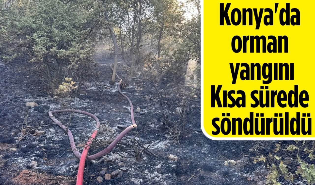 Konya’da orman yangını: Kısa sürede söndürüldü