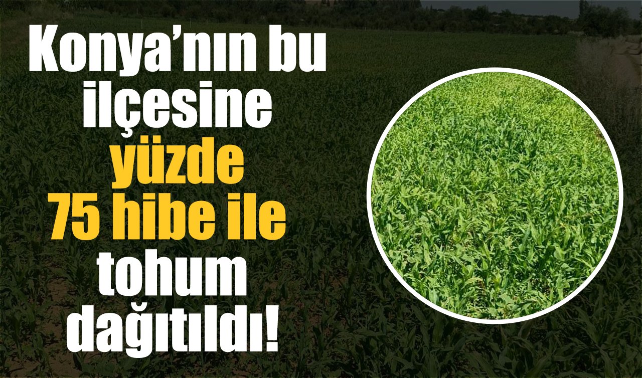 Konya’nın bu ilçesine yüzde 75 hibe ile tohum dağıtıldı!