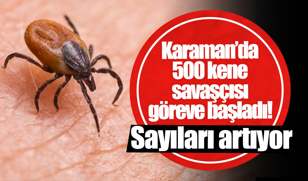 Karaman’da 500 kene savaşçısı göreve başladı! Sayıları artıyor 