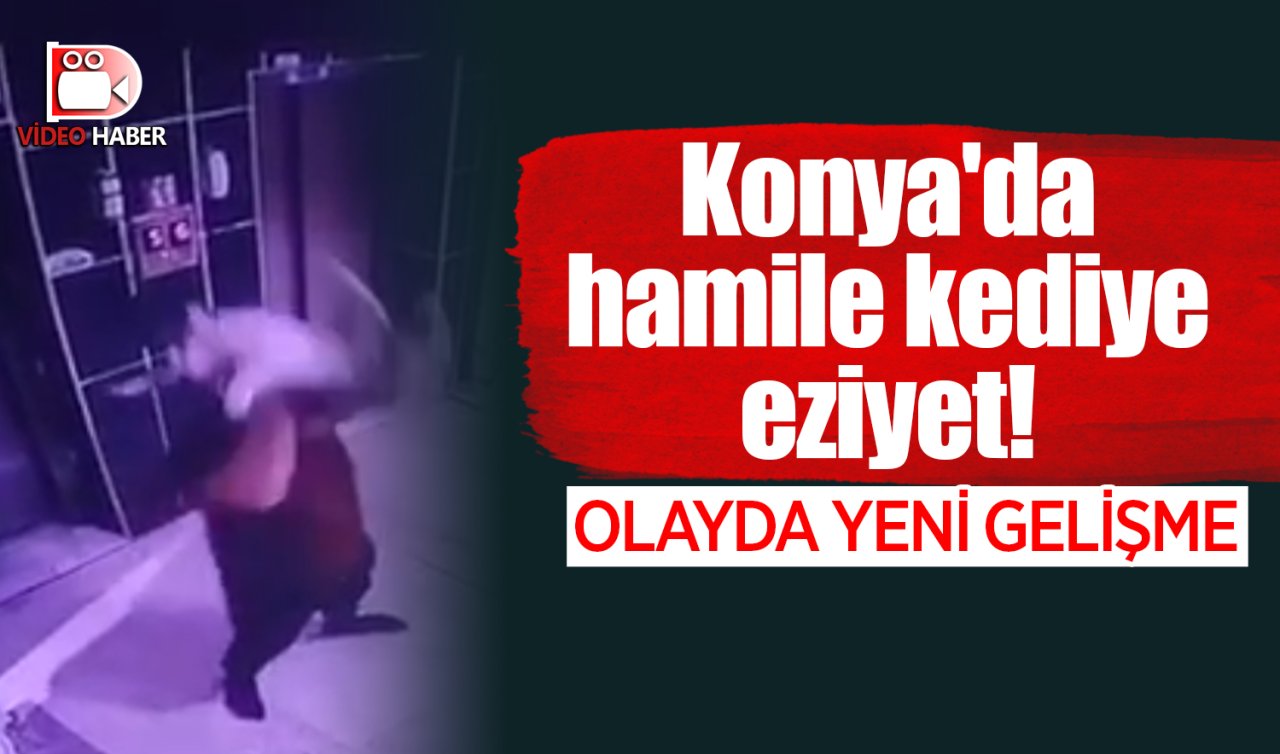 Konya’da hamile kediye eziyet! OLAYDA YENİ GELİŞME