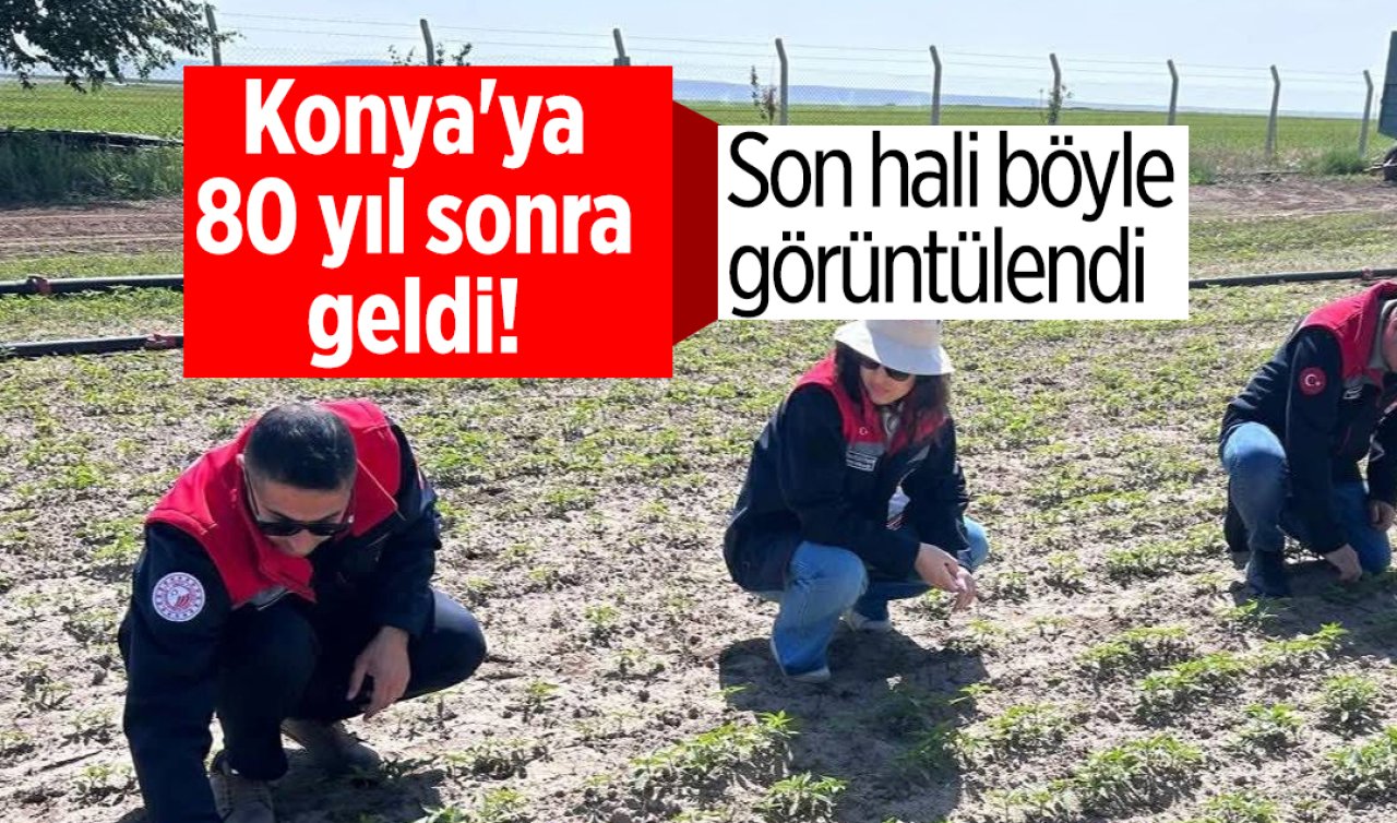 Konya’ya 80 yıl sonra geldi! İlçedeki görüntüsüyle dikkat çekiyor 