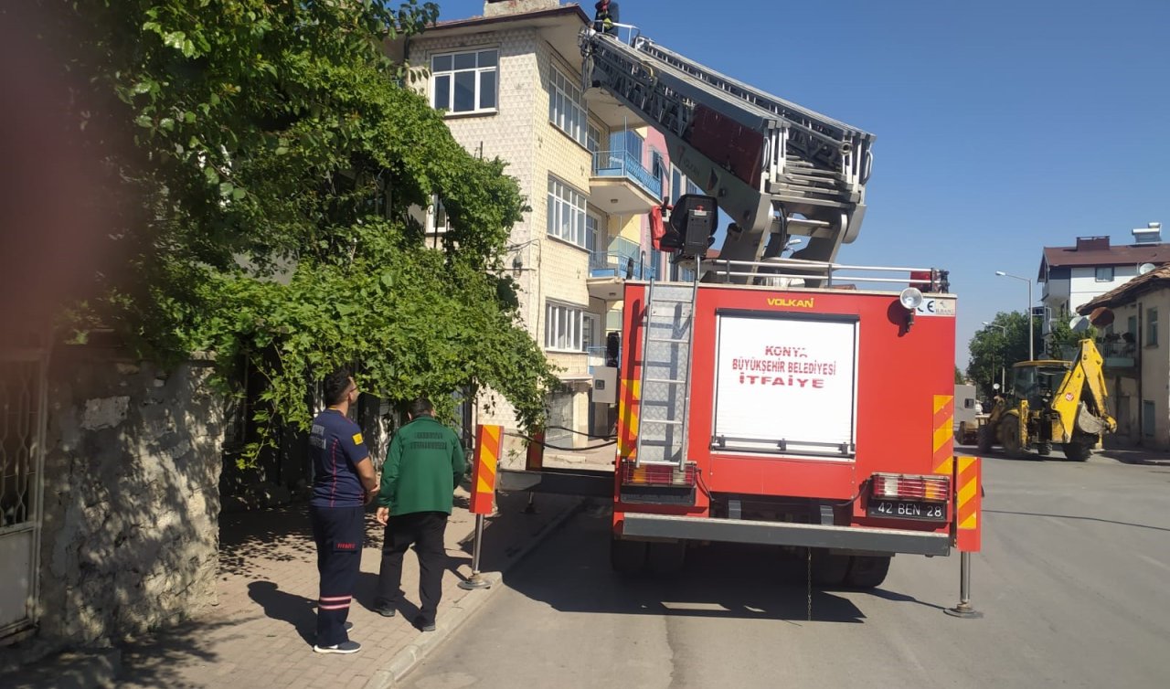Konya’da itfaiyenin kedi kurtarma seferberliği