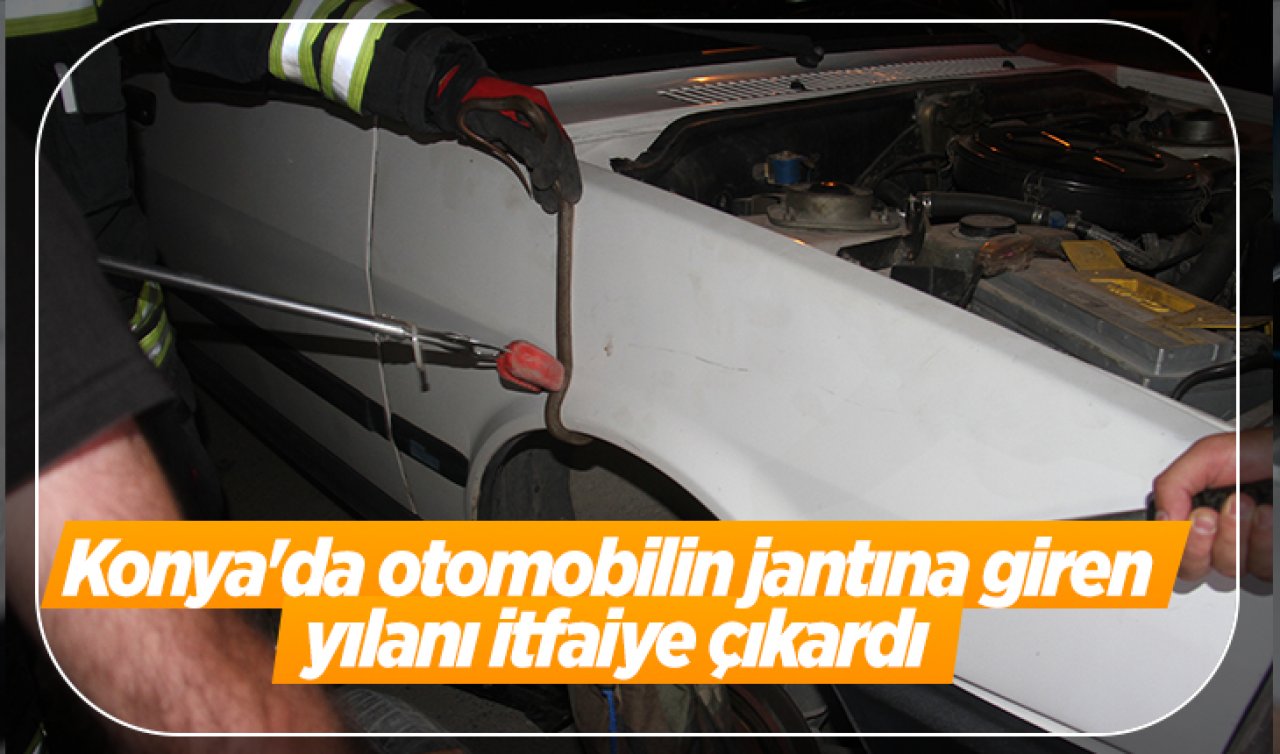 Konya’da otomobilin jantına giren yılanı itfaiye çıkardı