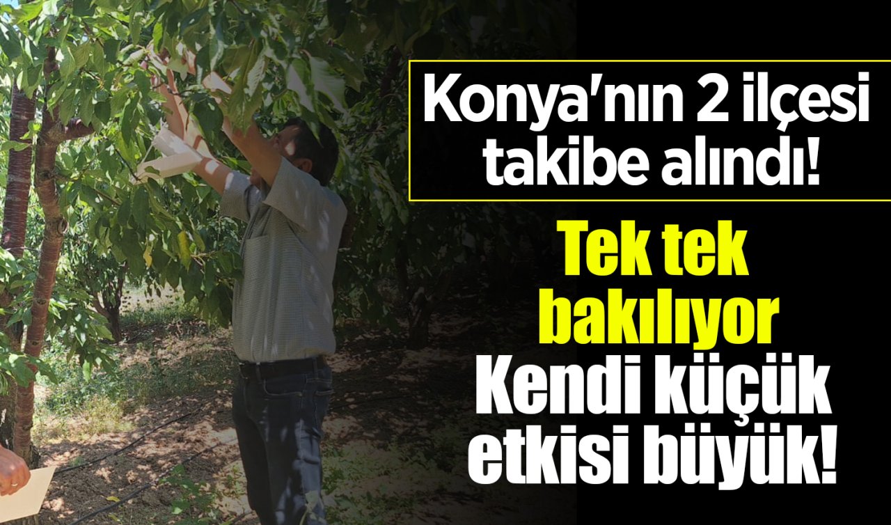 Konya’nın 2 ilçesi takibe alındı! Tek tek bakılıyor: Kendi küçük etkisi büyük! 