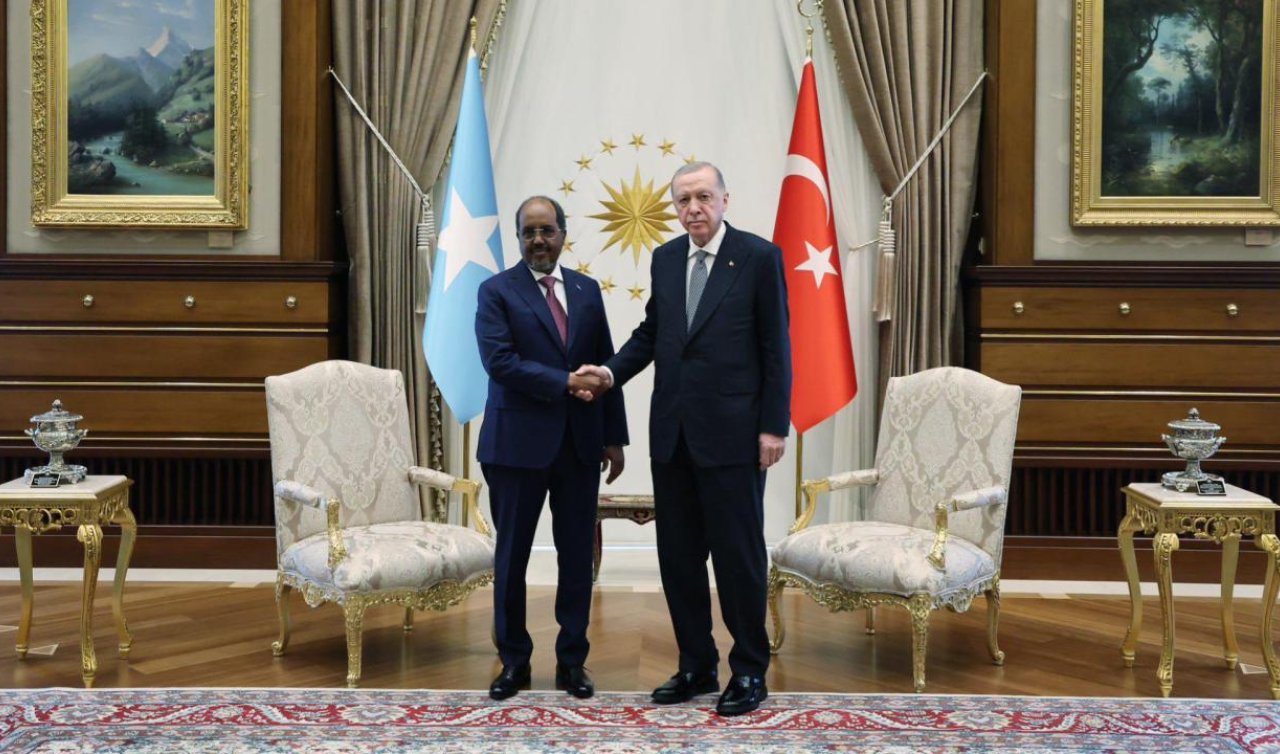 Cumhurbaşkanı Erdoğan Somali Cumhurbaşkanı Mahmud ile görüştü