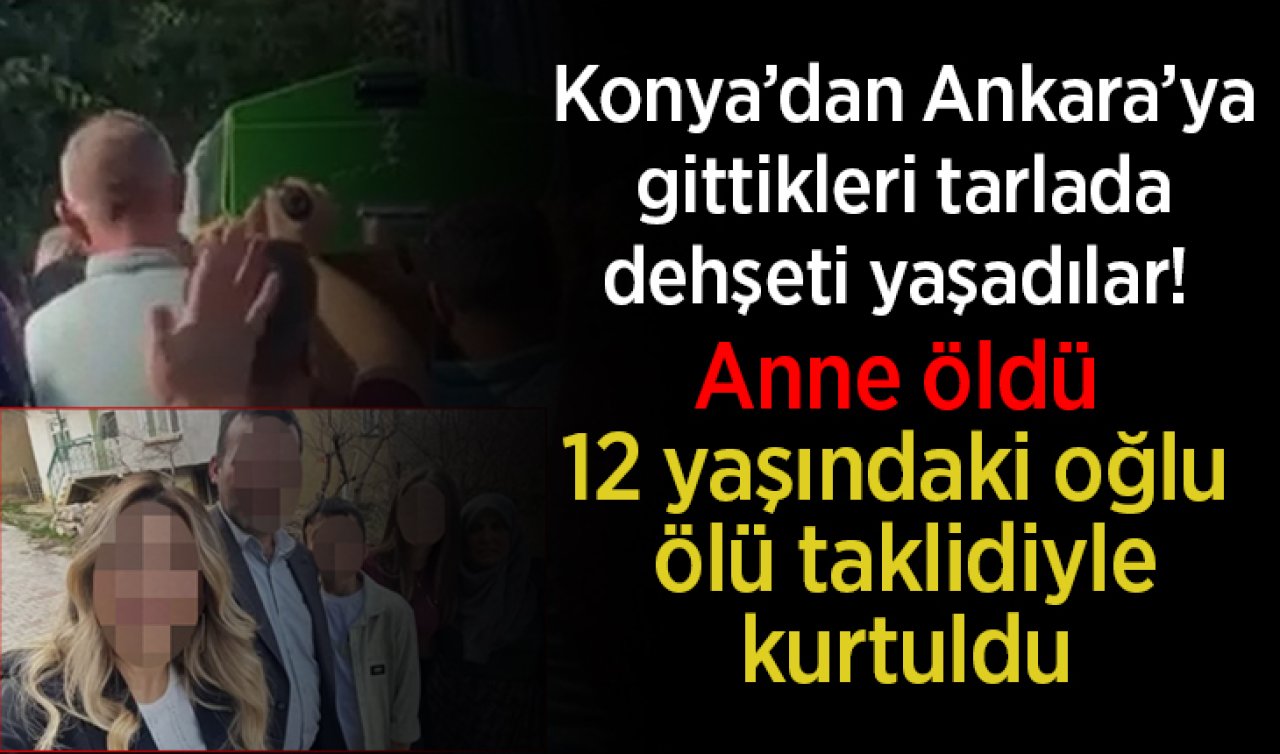 Konya’dan Ankara’ya gittikleri tarlada dehşeti yaşadılar! Anne öldü 12 yaşındaki oğlu ölü taklidiyle kurtuldu