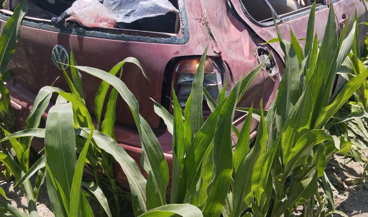 Karapınar’da trafik kazası: Otomobil mısır tarlasına devrildi