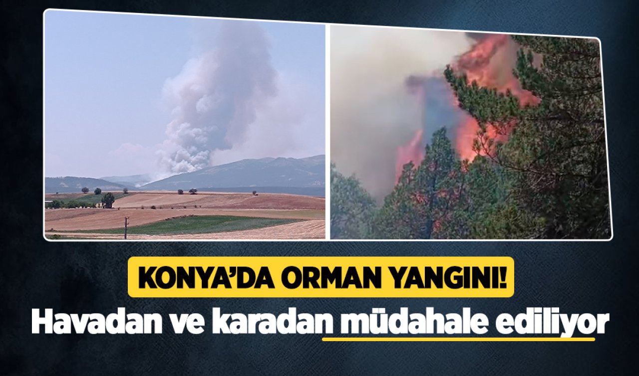 Konya’da orman yangını! Havadan ve karadan müdahale ediliyor