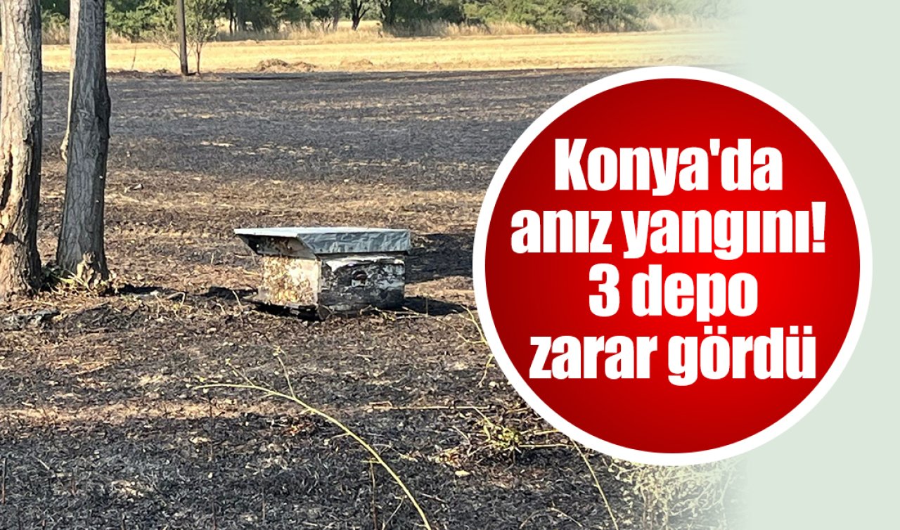 Konya’da anız yangını!  3 depo zarar gördü