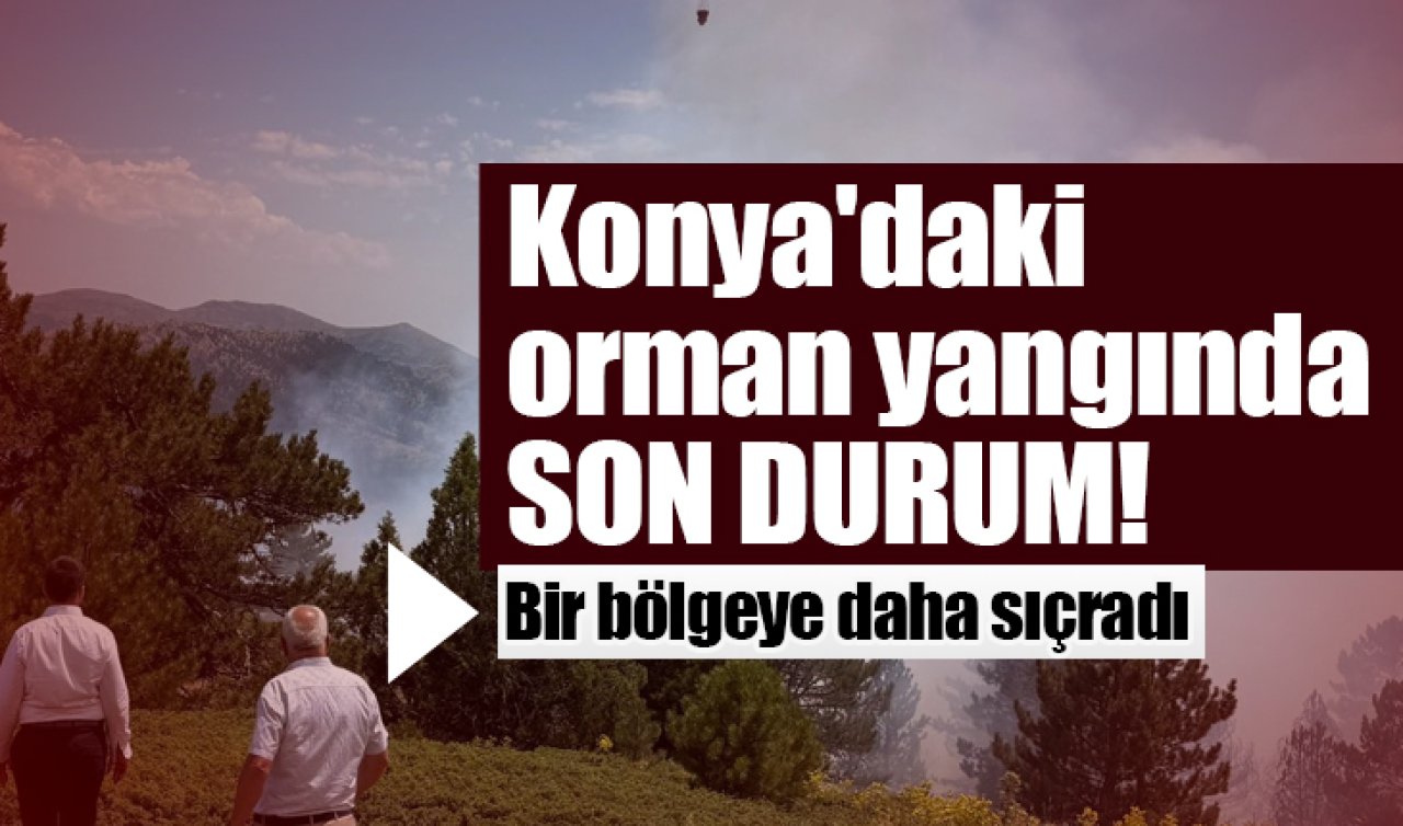 Konya’daki orman yangınında SON DURUM! Bir bölgeye daha sıçradı 