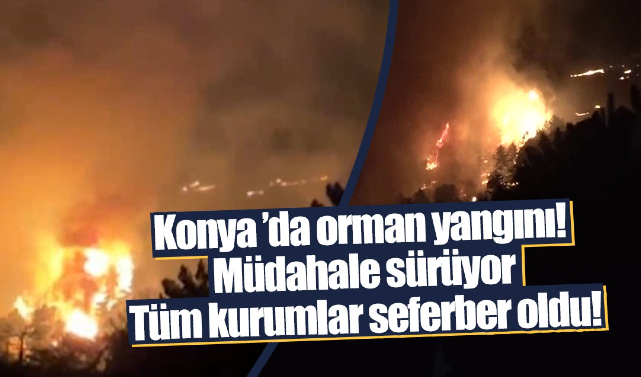 Konya Doğanhisar’da orman yangını! Müdahale sürüyor: Tüm kurumlar seferber oldu!