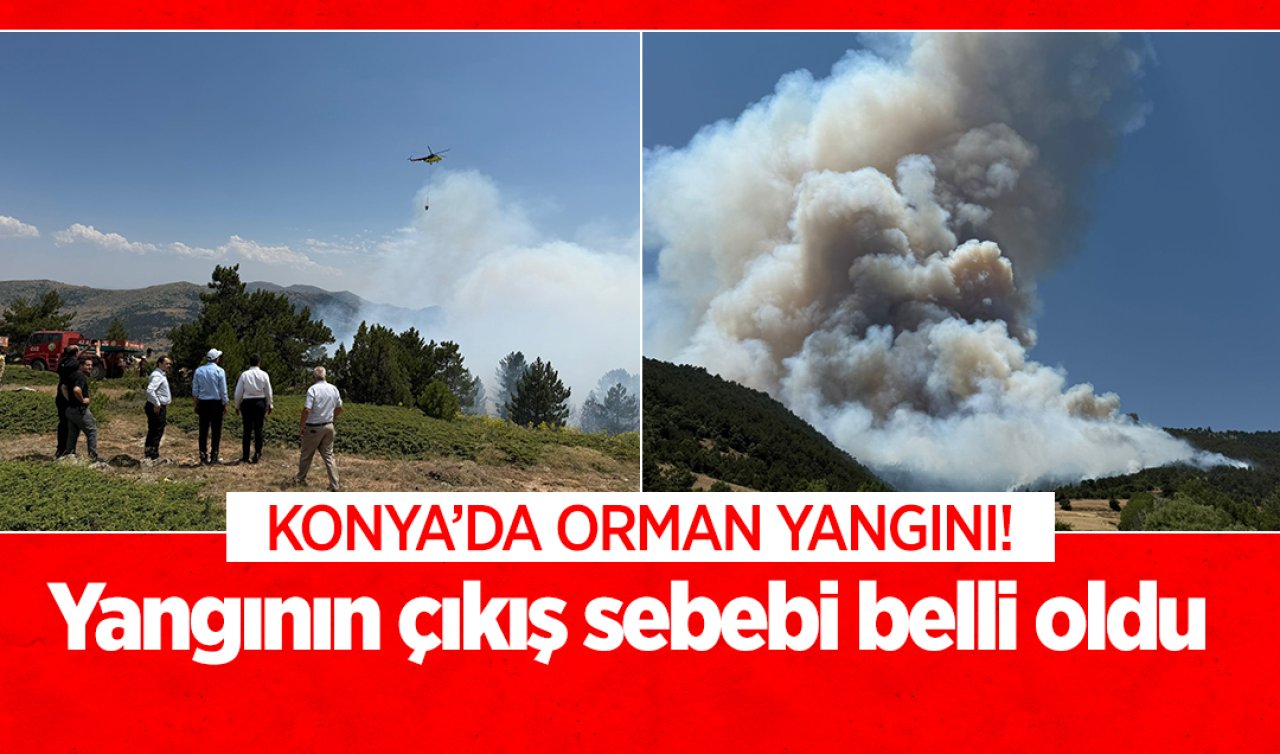 Konya’da orman yangını! Yangının çıkış sebebi belli oldu