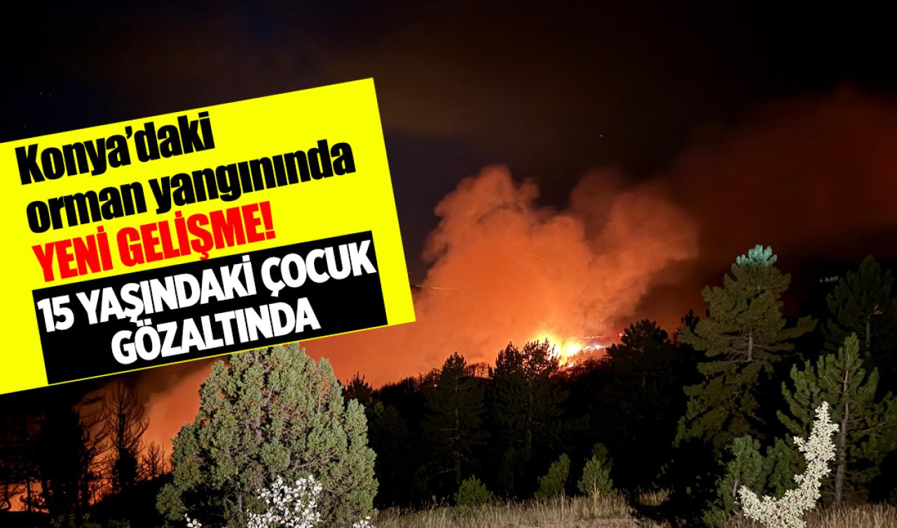 Konya’daki orman yangınında YENİ GELİŞME! 1 kişi gözaltına alındı