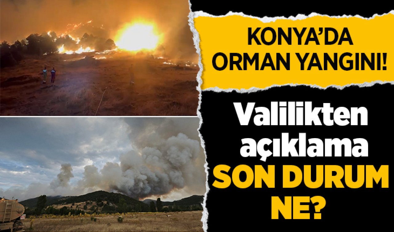 Konya’da orman yangını! Valilikten açıklama: Son durum ne?  