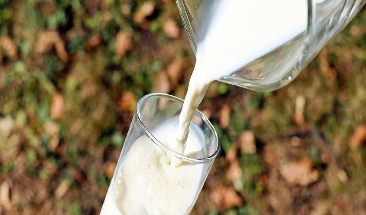 Çiğ inek sütü tavsiye satış fiyatı belirlendi