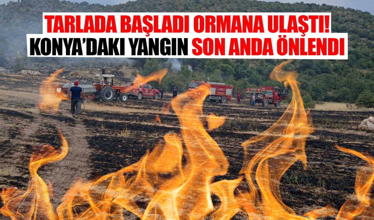 Konya’da anız yangını ormana sıçradı: Erken müdahale felaketi önledi